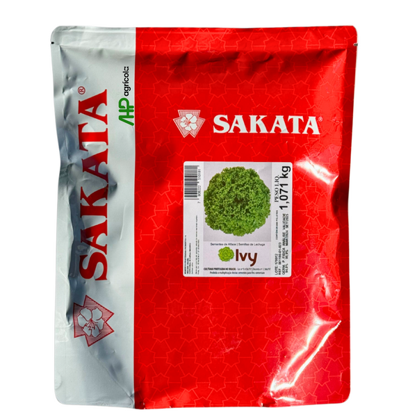 f9995131-1404-4041-8c0a-