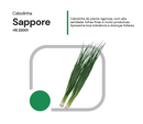 SEMENTES CEBOLINHA HIBRIDA SAPPORE HORTICERES 100G