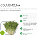 COUVE CHINESA MIZUNA HORTICERES 100G