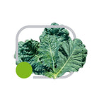 COUVE HÍBRIDA HS30 HORTICERES 25000 SEMENTES