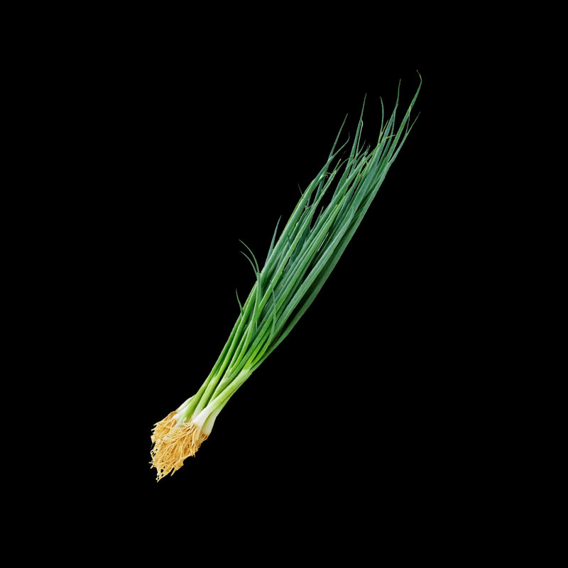 SEMENTES CEBOLINHA IBIRITÉ HORTICERES 250G