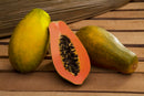 MAMAO PAPAYA T2 FELTRIN 1000 SEMENTES