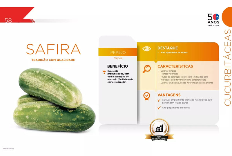 SEMENTES PEPINO HÍBRIDO SAFIRA SAKATA 100G