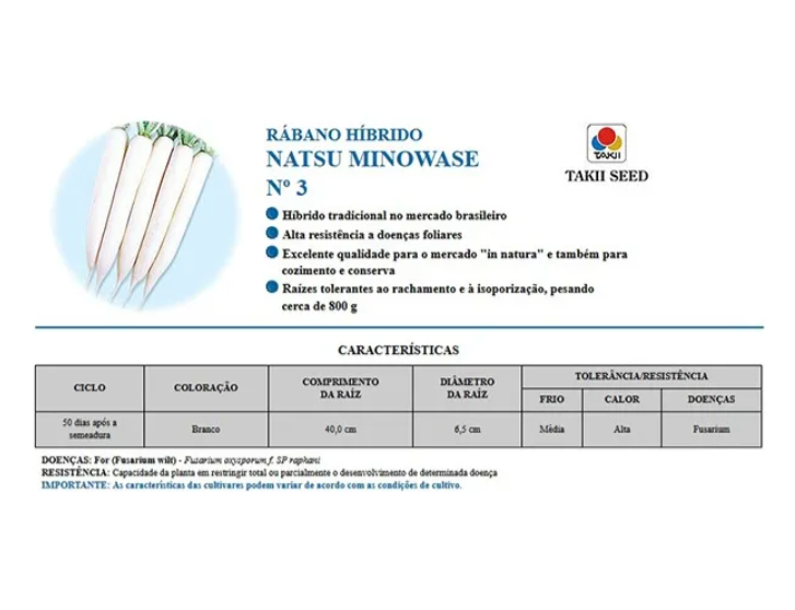 SEMENTES RABANO HIBRIDO NATSU MINOWASE TAKII SEED 10G