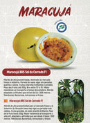 MARACUJA HIBRIDO SOL DO CERRADO AGROCINCO/EMBRAPA 500 SEMENTES